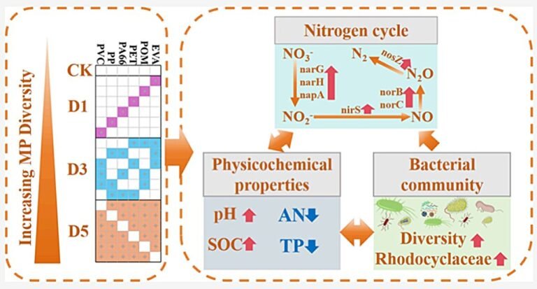 Microplastics Verminderen Bodemvruchtbaarheid en Verhogen de Productie van Een Krachtig Broeikasgas