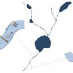 Natuurlijke barrières in de rivieren van Noord-Zweden zetten vraagtekens bij aannames over de stroomafwaartse effecten