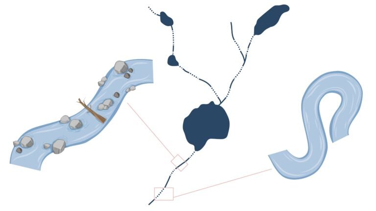 Natuurlijke barrières in de rivieren van Noord-Zweden zetten vraagtekens bij aannames over de stroomafwaartse effecten