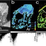Neutronenscanning van koraalfossielen onthult verborgen klimaathistorie van de aarde