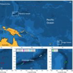 Nieuwe methode meet oceaanverzuring met behulp van omgevingsgeluiden van de wind