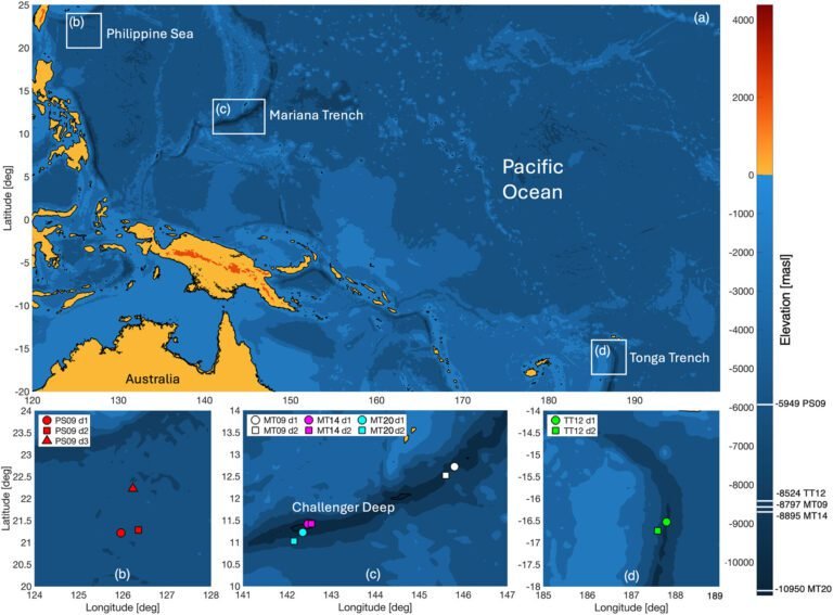 Nieuwe methode meet oceaanverzuring met behulp van omgevingsgeluiden van de wind