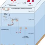 Onderzoek toont aan dat plasticvervuiling meer dan een eeuw op oceaanoppervlakken kan aanhouden