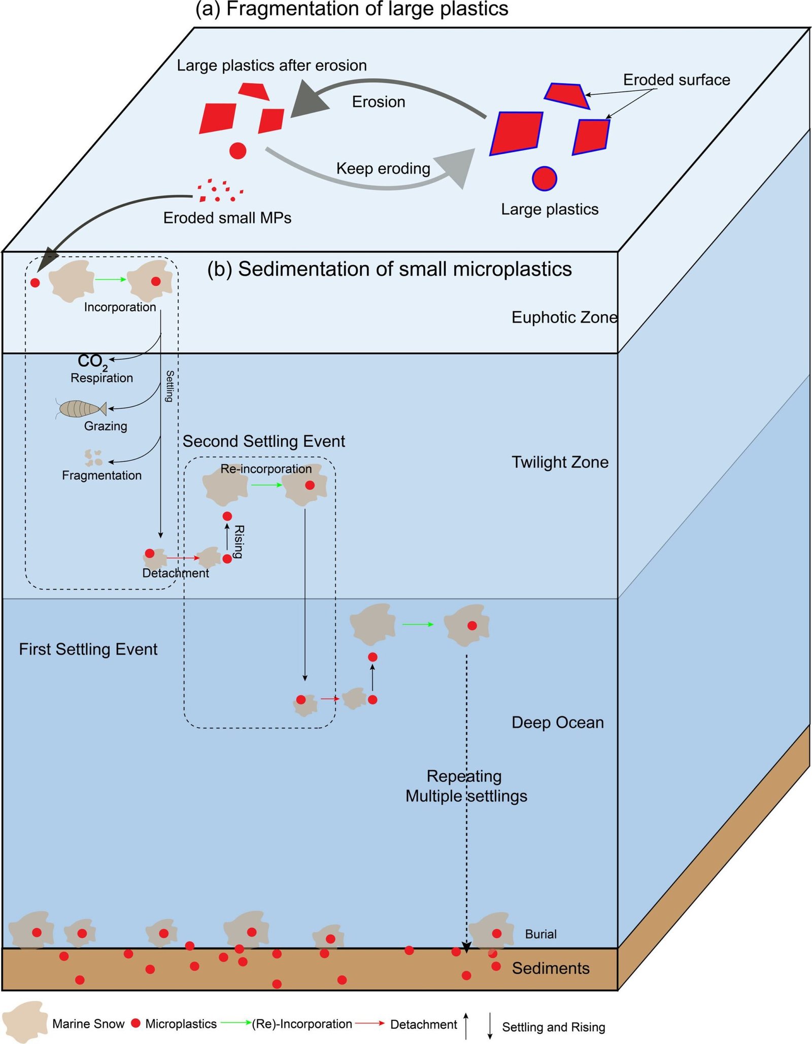 Onderzoek toont aan dat plasticvervuiling meer dan een eeuw op oceaanoppervlakken kan aanhouden