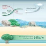 Onderzoek toont voordelen van mangroven voor het verminderen van schade aan onroerend goed tijdens orkanen