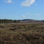 Onderzoekers waarschuwen: 'Groot reservoir' van koolstof in veengebieden loopt gevaar van vrijgave