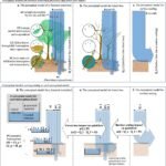 Ontbossing kan het risico op overstromingen tot acht keer verhogen