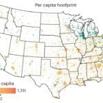 Ontdek de 'koolstofvoetafdruk' van vleesconsumptie in Amerikaanse steden