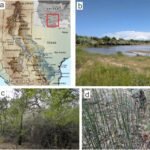 Oxygenisotoopverhoudingen in oude planten, vergelijkbaar met meteorieten, kunnen het klimaatverleden van de aarde onthullen
