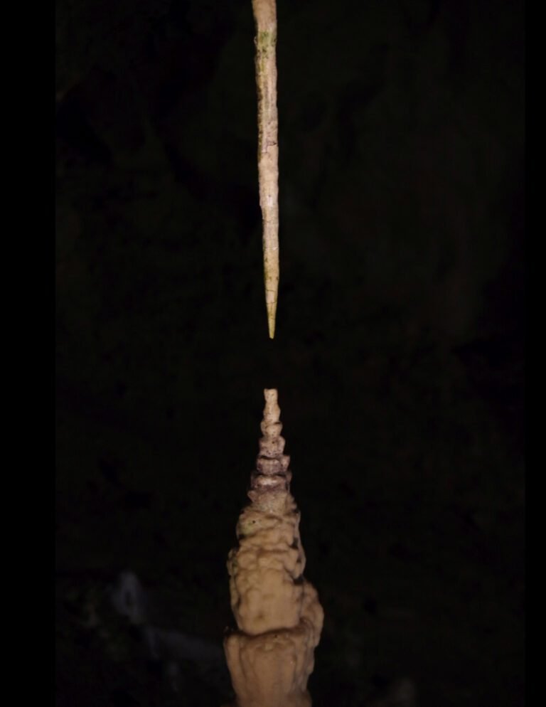 Stap voor stap: Onderzoek biedt eerste volledige wiskundige beschrijving van stalagmietvormen