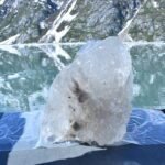 Terugtrekkende gletsjers sturen mogelijk minder voedingsstoffen naar de oceaan, onderzoek toont aan