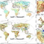 Volwassen ecosystemen tonen sterke droogte-adaptatie in karstgebieden, blijkt uit onderzoek