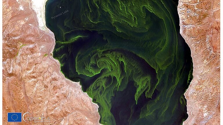 Wereldwijde klimaatmodellen hebben de volledige stikstofcyclus nodig