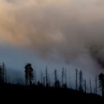 Zonlicht Versterkt Luchtvervuiling door Bosbranden, Onderzoek Toont Aan