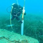 De 'blauwe bossen' in cijfers: Eerste wereldwijde inventaris van opgeslagen koolstof in zeegrasvelden