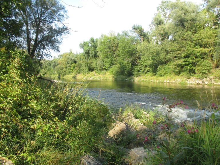 De verborgen gevolgen van drinkwaterbehandeling voor stedelijke waterlopen