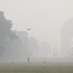 Delhi's wolkenzaai-inspanning faalt om smog te verminderen, roept vragen op over effectiviteit
