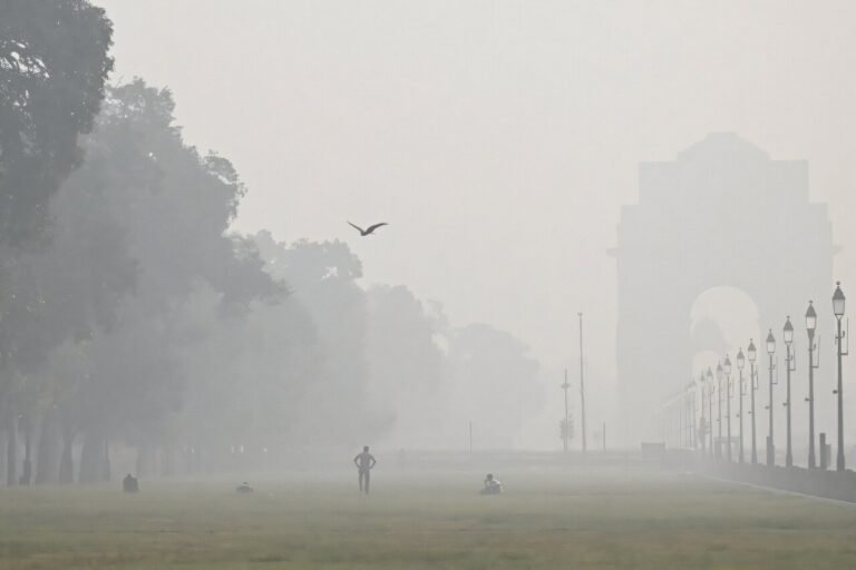 Delhi's wolkenzaai-inspanning faalt om smog te verminderen, roept vragen op over effectiviteit