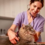 Diergezondheidsinnovatie: Vooruitgang in de levenswetenschappen in Europa