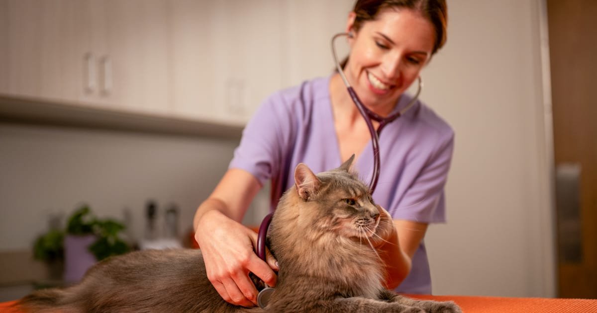 Diergezondheidsinnovatie: Vooruitgang in de levenswetenschappen in Europa