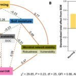Hernieuwing van microbiele netwerken vermindert langdurige koolstofemissies in de bodem door opwarming, blijkt uit tienjarige studie