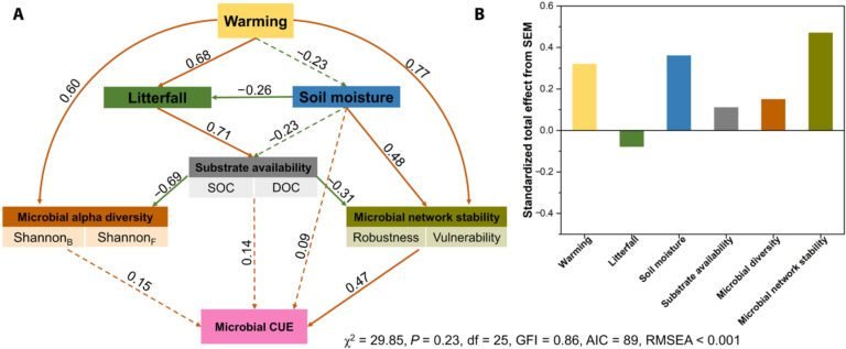 Hernieuwing van microbiele netwerken vermindert langdurige koolstofemissies in de bodem door opwarming, blijkt uit tienjarige studie
