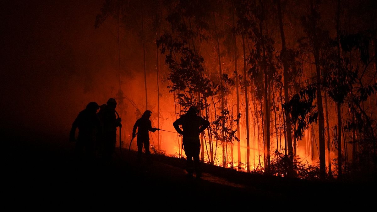 Investeren in de klimaatcrisis: Zijn cat bonds een slimme keuze voor uw portefeuille?