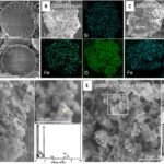 Kleine diatomeeën, grote klimaatimpact: Hoe microscopische skeletten de oceaanchemie snel beïnvloeden