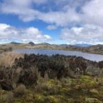 Kleine, vaak over het hoofd geziene vijvers in de Andes kunnen een grote rol spelen in klimaatverandering