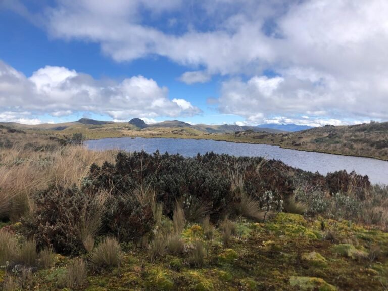 Kleine, vaak over het hoofd geziene vijvers in de Andes kunnen een grote rol spelen in klimaatverandering