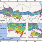 Landdegradatie overtreft herstel in de Grote Groene Muur van Afrika