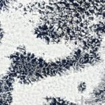 Microfysica van wolkdruppels beïnvloedt de nauwkeurigheid van huidige klimaatmodellen