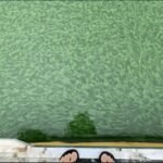 Stikstof stimuleert algengroei, ontdekkingen van onderzoekers