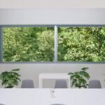 Teveel groen in huis: Onderzoek toont aan dat overmatige kamerplanten stressniveaus kunnen verhogen