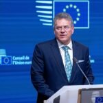 EU Commissie onthult nieuwe economische veiligheidsdoctrine te midden van toenemende mondiale risico's