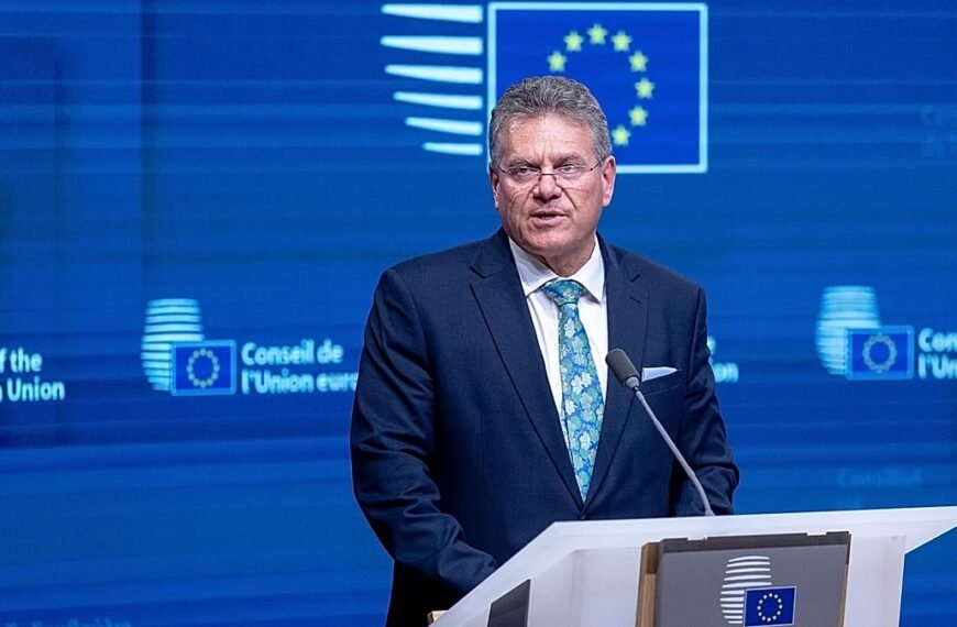 EU Commissie onthult nieuwe economische veiligheidsdoctrine te midden van toenemende mondiale risico's