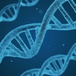 AlphaGenome: Google’s nieuwe AI-tool voor het ontcijferen en voorspellen van DNA-veranderingen – Hoe werkt het?