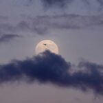 Nasa lanceert Artemis II-raket voor historische Maanmissie