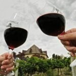 Trump Dreigt Met 200% Tarief Op Franse Wijn, Leaks Tekstuitwisseling Met Macron