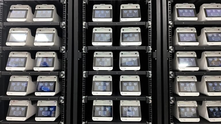 Kunnen hersencellen computers aansturen? Deze startup gebruikt menselijke neuronen om datacenters van energie te voorzien